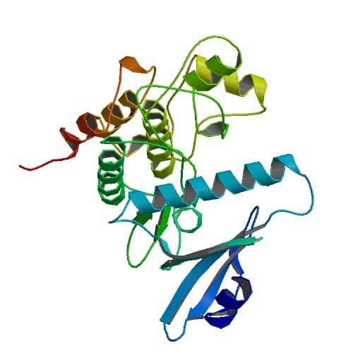 Enzyme Activity Measurement of Phosphorylase Kinase